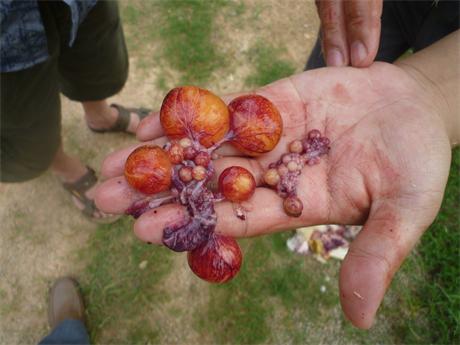 �����ں���ʡ�I���h���u��(ch��ng)�����g(sh��)ָ��(d��o)���D�V�W(xu��)��(x��)