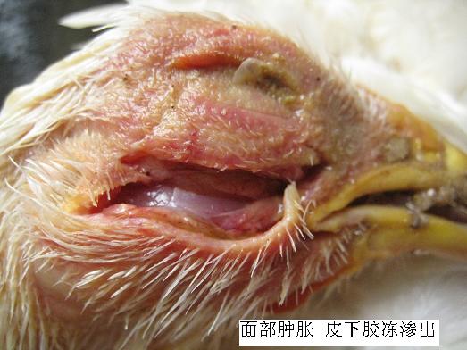 ���ʕr(sh��)��(y��ng)ԓ��ʲô��λ��ʲô��λ�l(f��)��ʲô����